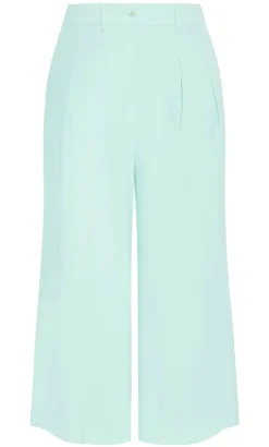 Abbie Fully Lined Wide Leg Pant - spearmint