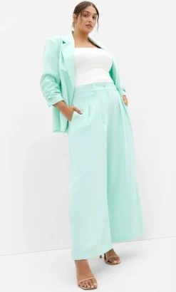 Abbie Fully Lined Wide Leg Pant - spearmint