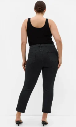 Asha Fit Dena Ankle Grazer Jean - black wash