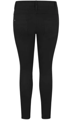 Asha Fit Skinny Leg Regular Jean - black