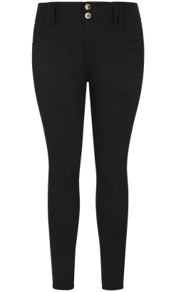 Asha Fit Skinny Leg Regular Jean - black