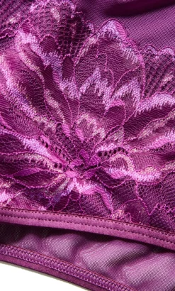 Ingrid Cheeky Brief - purple iris