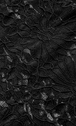 Nylah Lace Pant - black