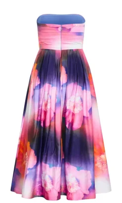 Rosalee Sleeveless Print Maxi Dress - indigo multi