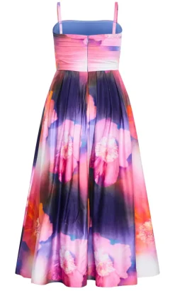 Rosalee Sleeveless Print Maxi Dress - indigo multi