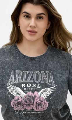 Ryan Arizona Print Tee - grey wash
